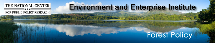 Forest Policy